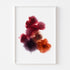 Abstract Blooms Floral Art Print